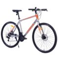 04ce397a-daa0-527e-bac5-81c788f72ce3.jpg