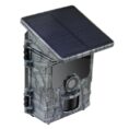 3bb00939-bf70-5056-9a51-edeac0deaf66.jpg