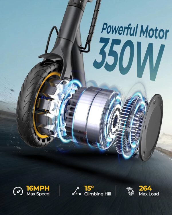 3ecab1ee-db03-5014-991a-c5a8a40223f8.jpg