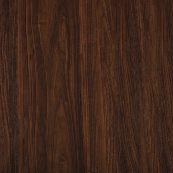 e7a66d045022882a873979572e65347cd7841a2af657b79d3e5ed1df43782687.webp